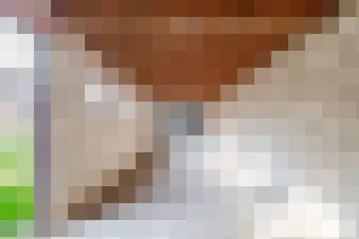 van Nispenstraat 3 Ulft thumbnail 38