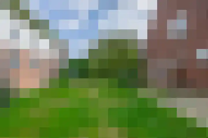 van Nispenstraat 3 Ulft thumbnail 39