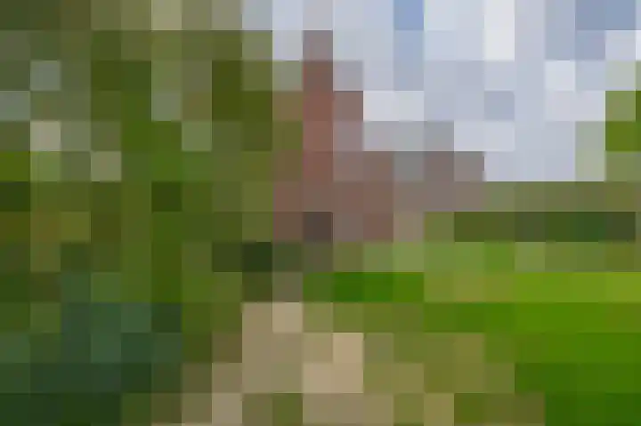 van Nispenstraat 3 Ulft thumbnail 40