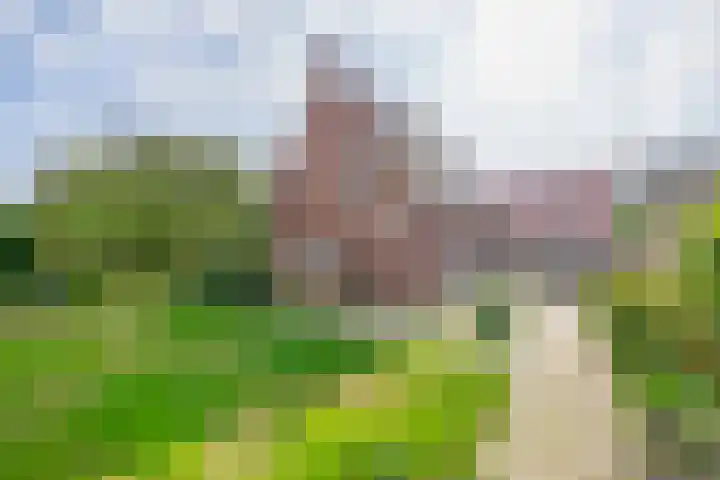 van Nispenstraat 3 Ulft thumbnail 41
