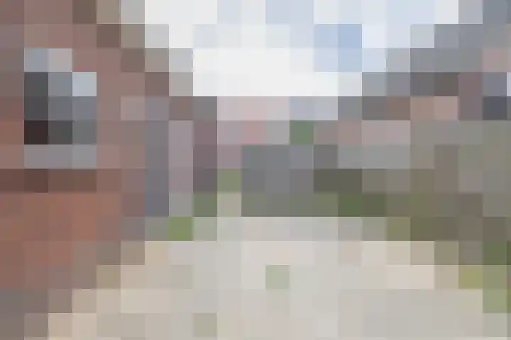 van Nispenstraat 3 Ulft thumbnail 42