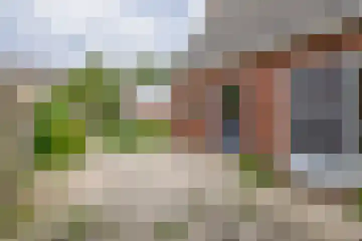 van Nispenstraat 3 Ulft thumbnail 43