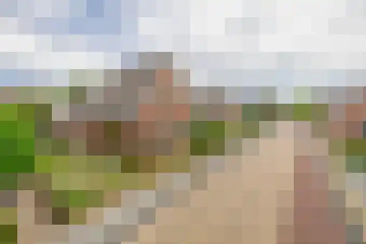 van Nispenstraat 3 Ulft thumbnail 44
