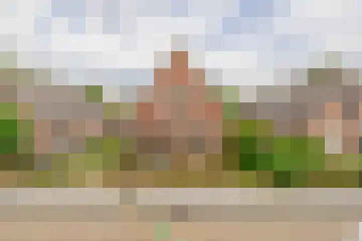 van Nispenstraat 3 Ulft thumbnail 45