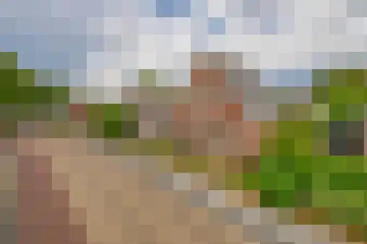 van Nispenstraat 3 Ulft thumbnail 46