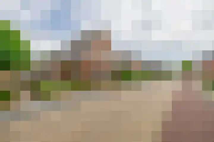 van Nispenstraat 3 Ulft thumbnail 47