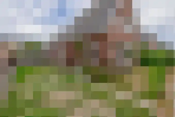 van Nispenstraat 3 Ulft thumbnail 5