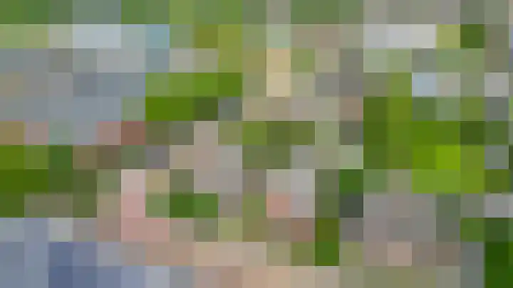 van Nispenstraat 3 Ulft thumbnail 52