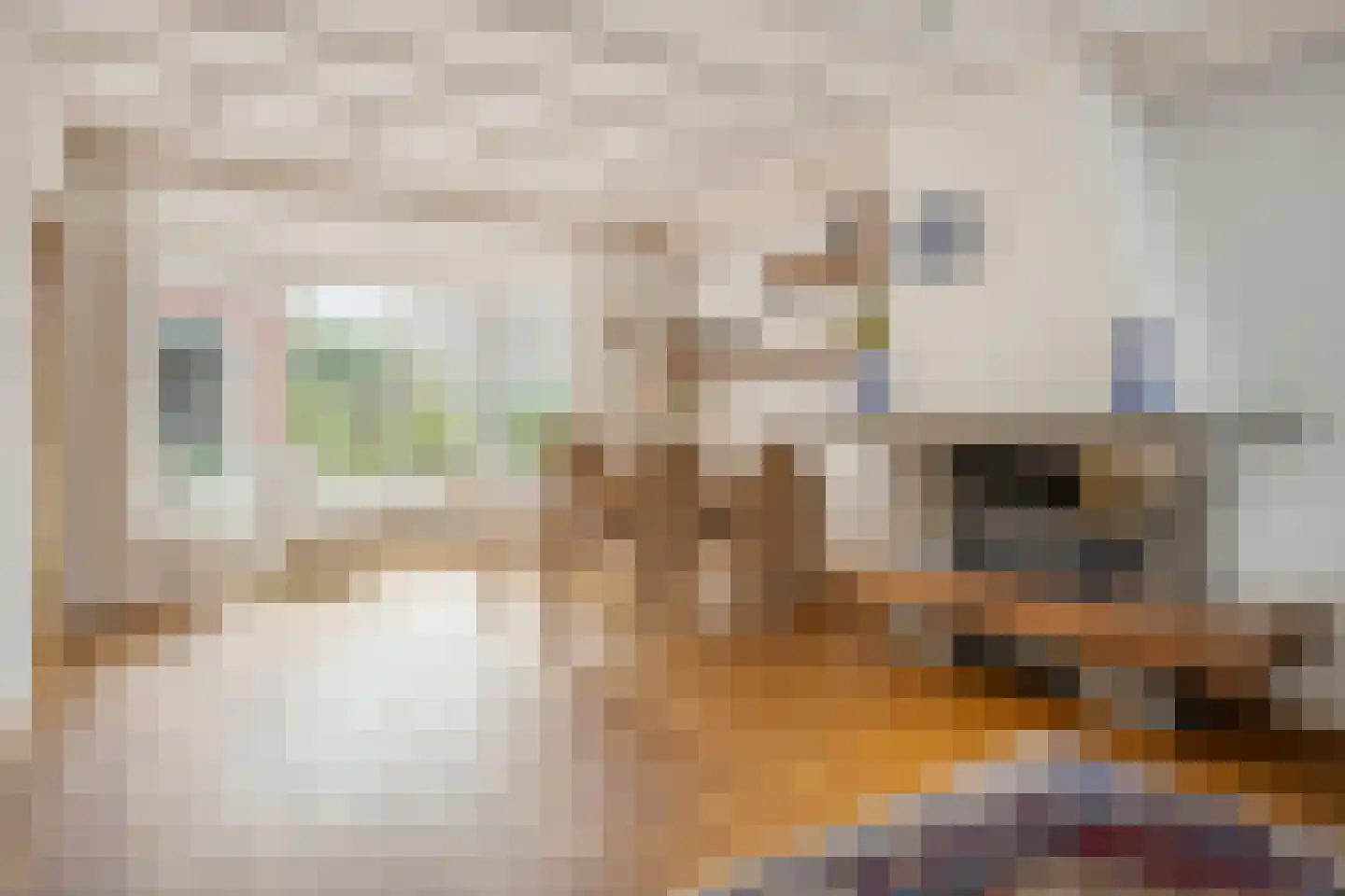 van Nispenstraat 36 Ulft thumbnail 21