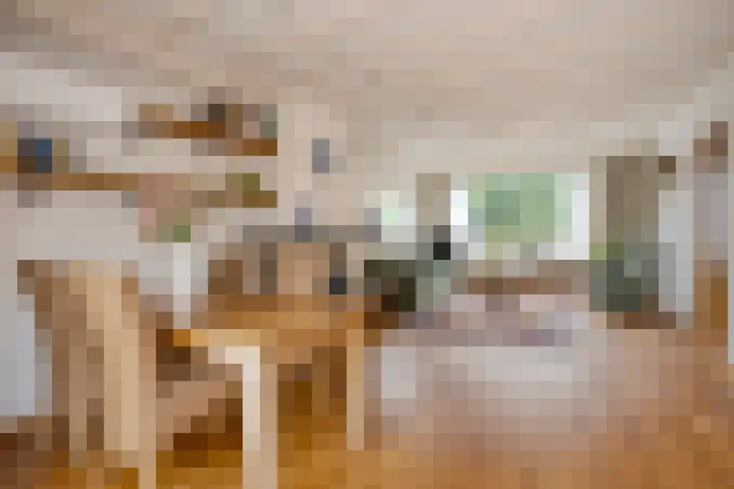 van Nispenstraat 36 Ulft thumbnail 24