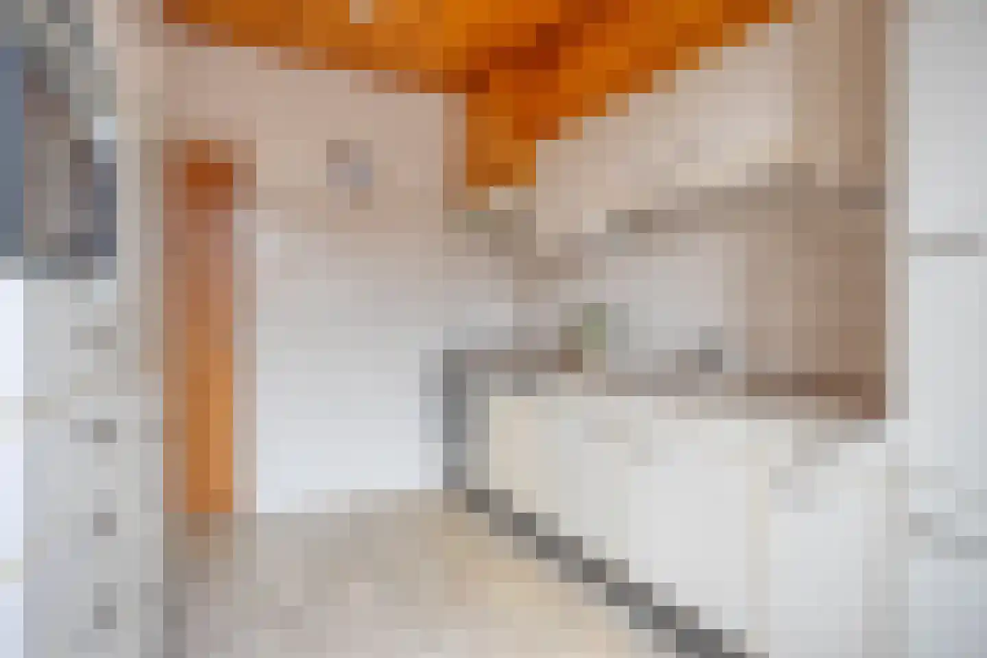 van Nispenstraat 36 Ulft thumbnail 25