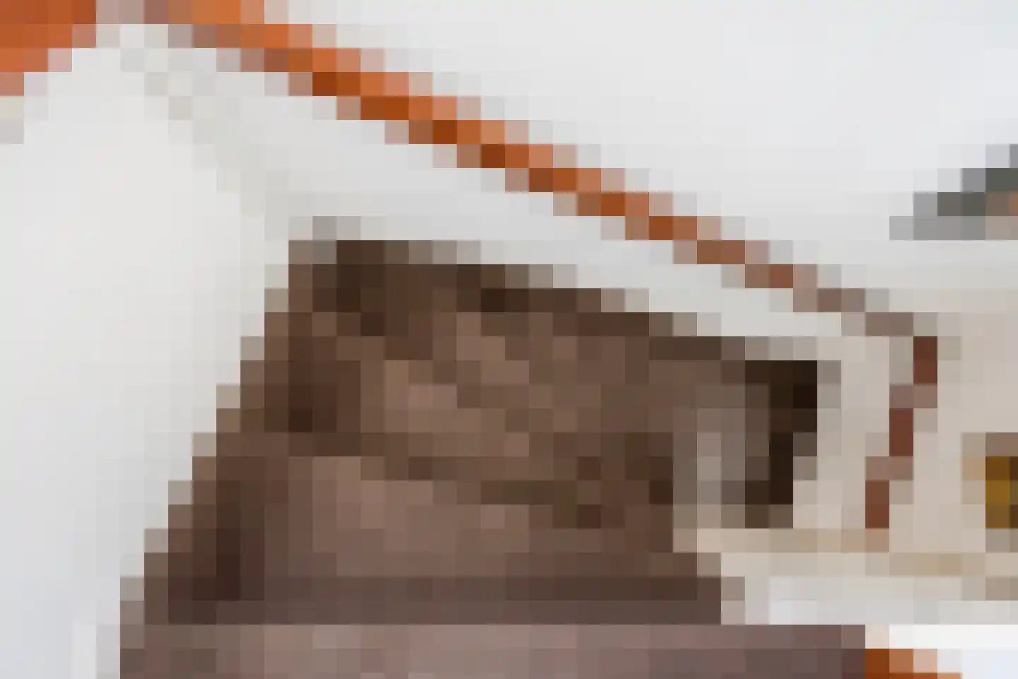 van Nispenstraat 38 Ulft thumbnail 20
