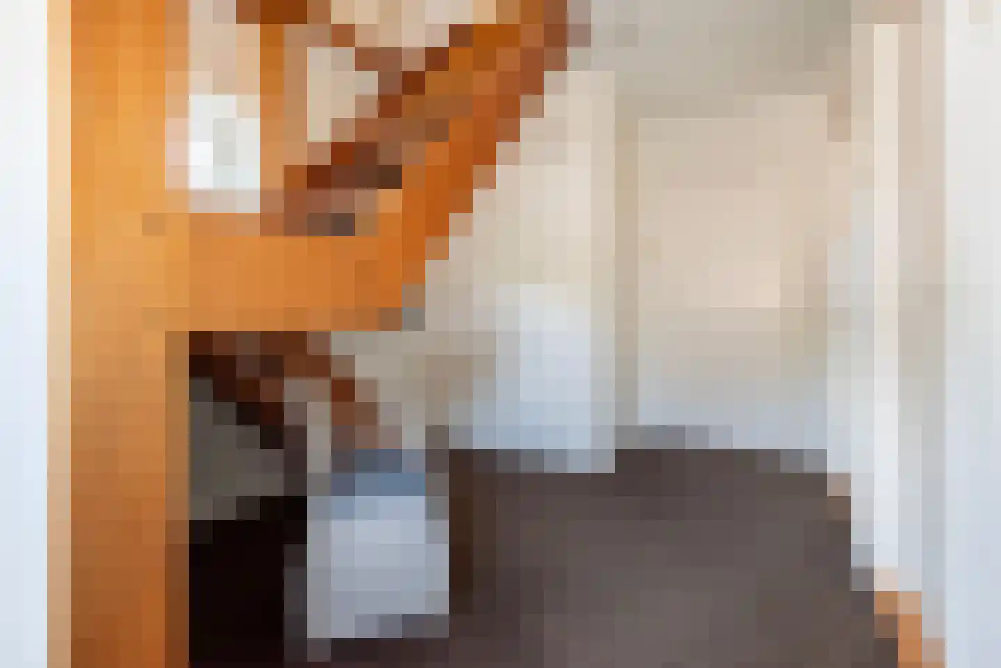 van Nispenstraat 38 Ulft thumbnail 21