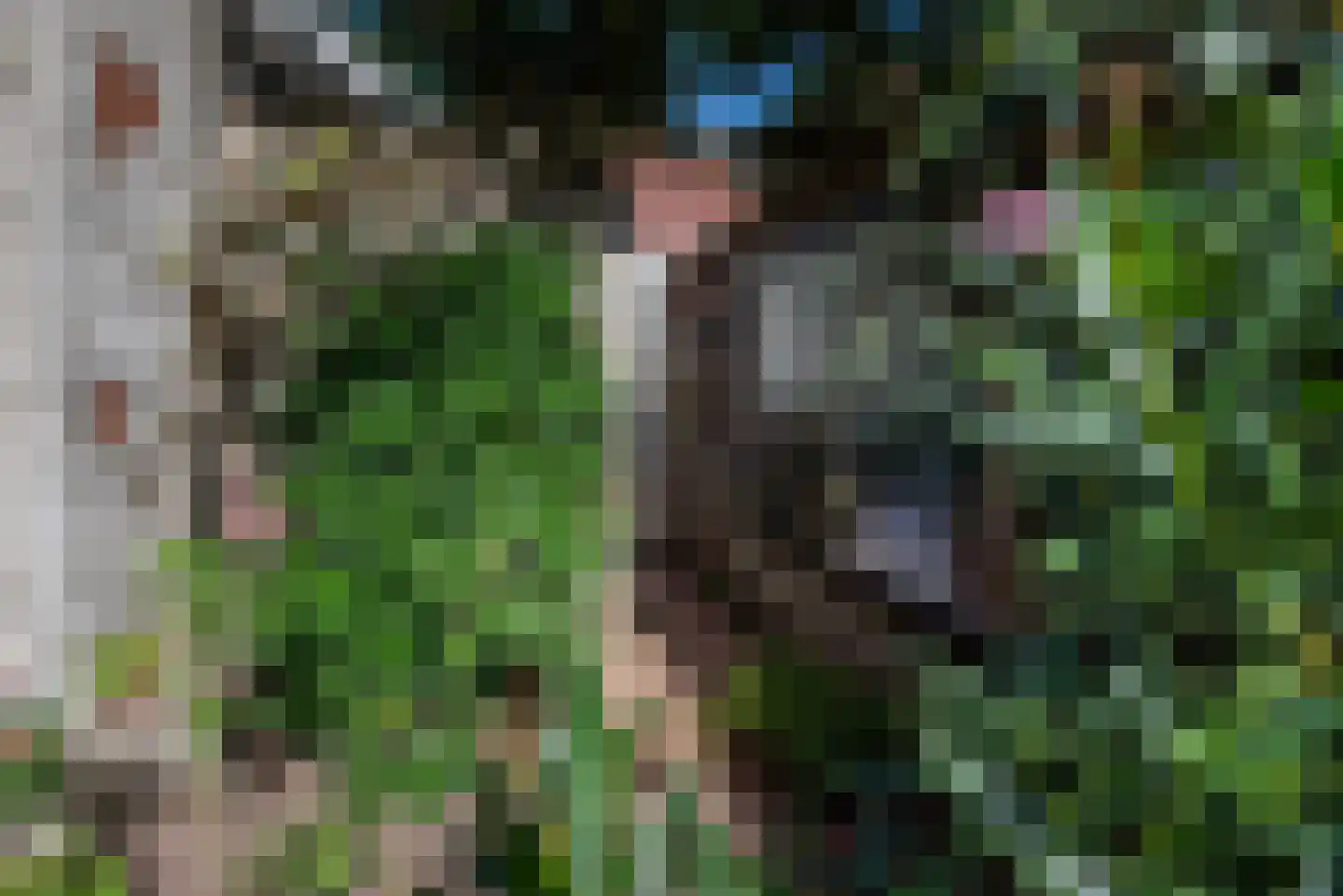 van Nispenstraat 38 Ulft thumbnail 38