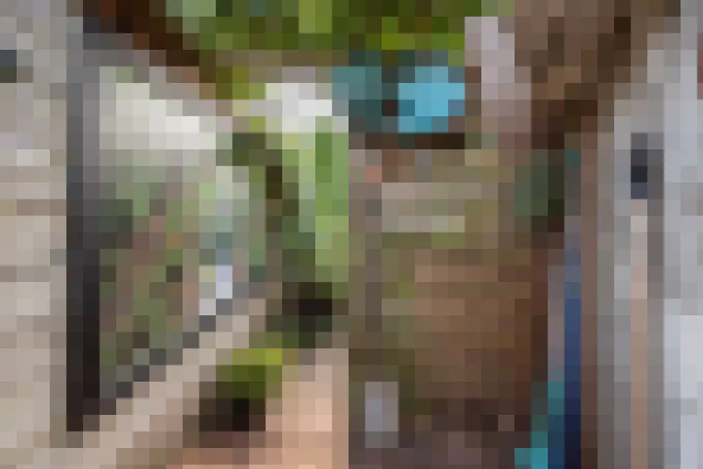 van Nispenstraat 38 Ulft thumbnail 39