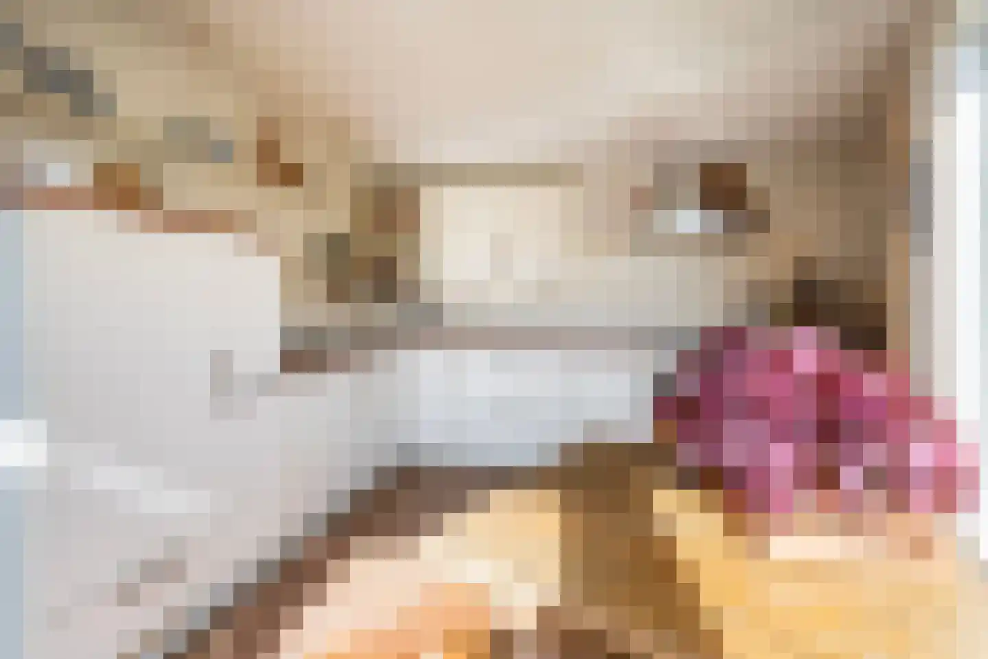 van Nispenstraat 38 Ulft thumbnail 4