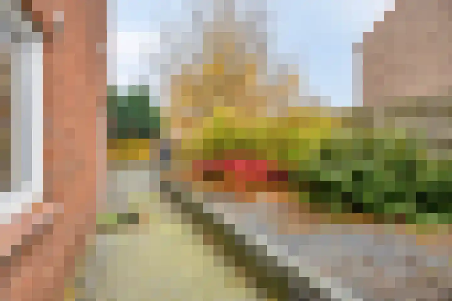 van Nispenstraat 98 Groesbeek thumbnail 41