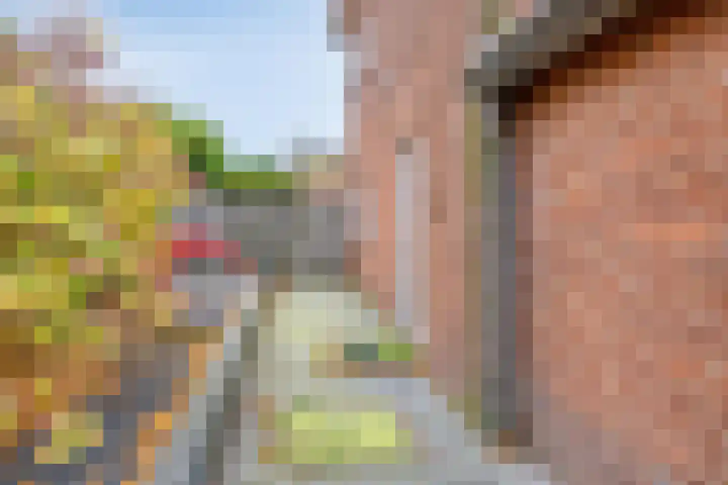 van Nispenstraat 98 Groesbeek thumbnail 43