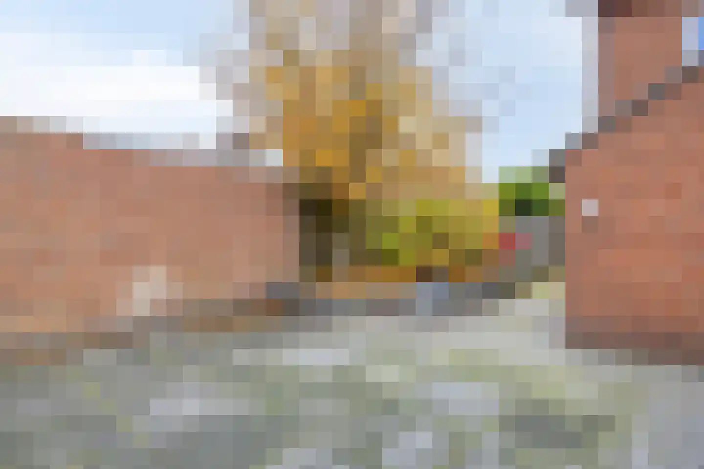 van Nispenstraat 98 Groesbeek thumbnail 44