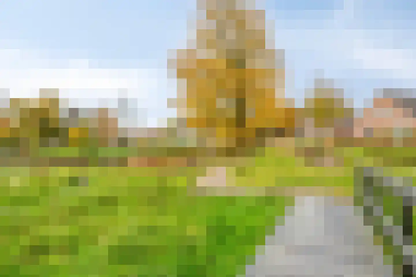 van Nispenstraat 98 Groesbeek thumbnail 48