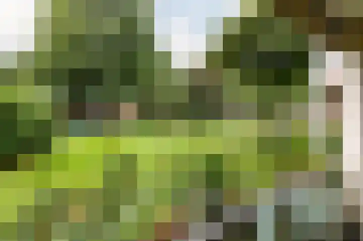 Van Noordtkade 1 E Amsterdam thumbnail 16