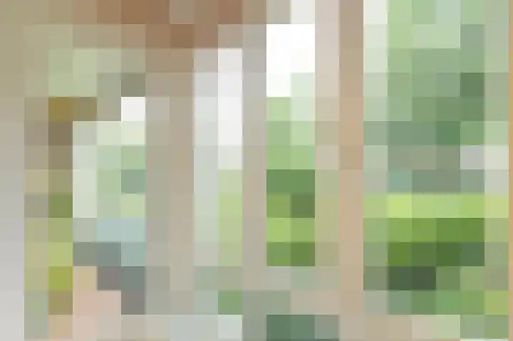 Van Noordtkade 1 E Amsterdam thumbnail 23
