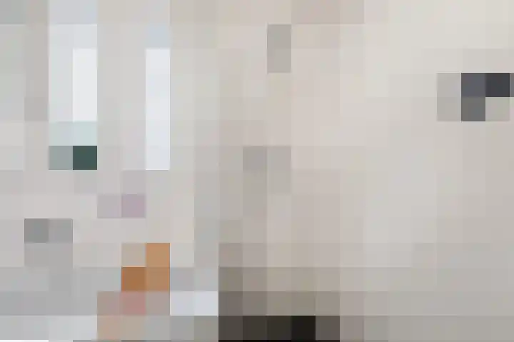 Van Noordtkade 1 E Amsterdam thumbnail 26