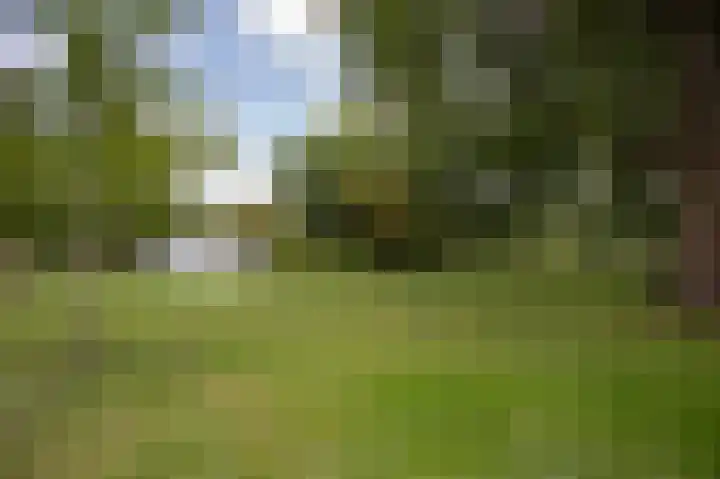 Van Noordtkade 1 E Amsterdam thumbnail 36