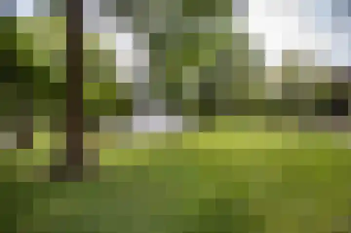 Van Noordtkade 1 E Amsterdam thumbnail 37