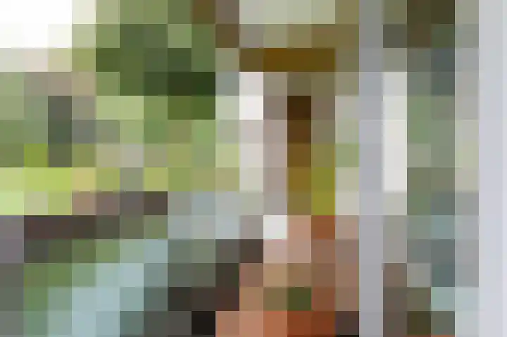 Van Noordtkade 1 E Amsterdam thumbnail 4