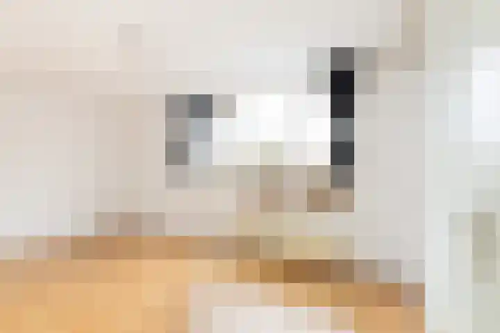 Van Noordtkade 134 Amsterdam thumbnail 11