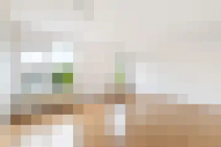 Van Noordtkade 134 Amsterdam thumbnail 21