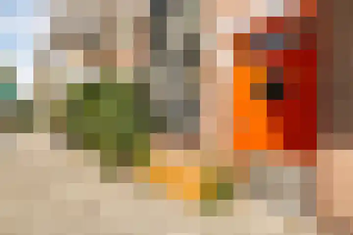 Van Noordtkade 134 Amsterdam thumbnail 5