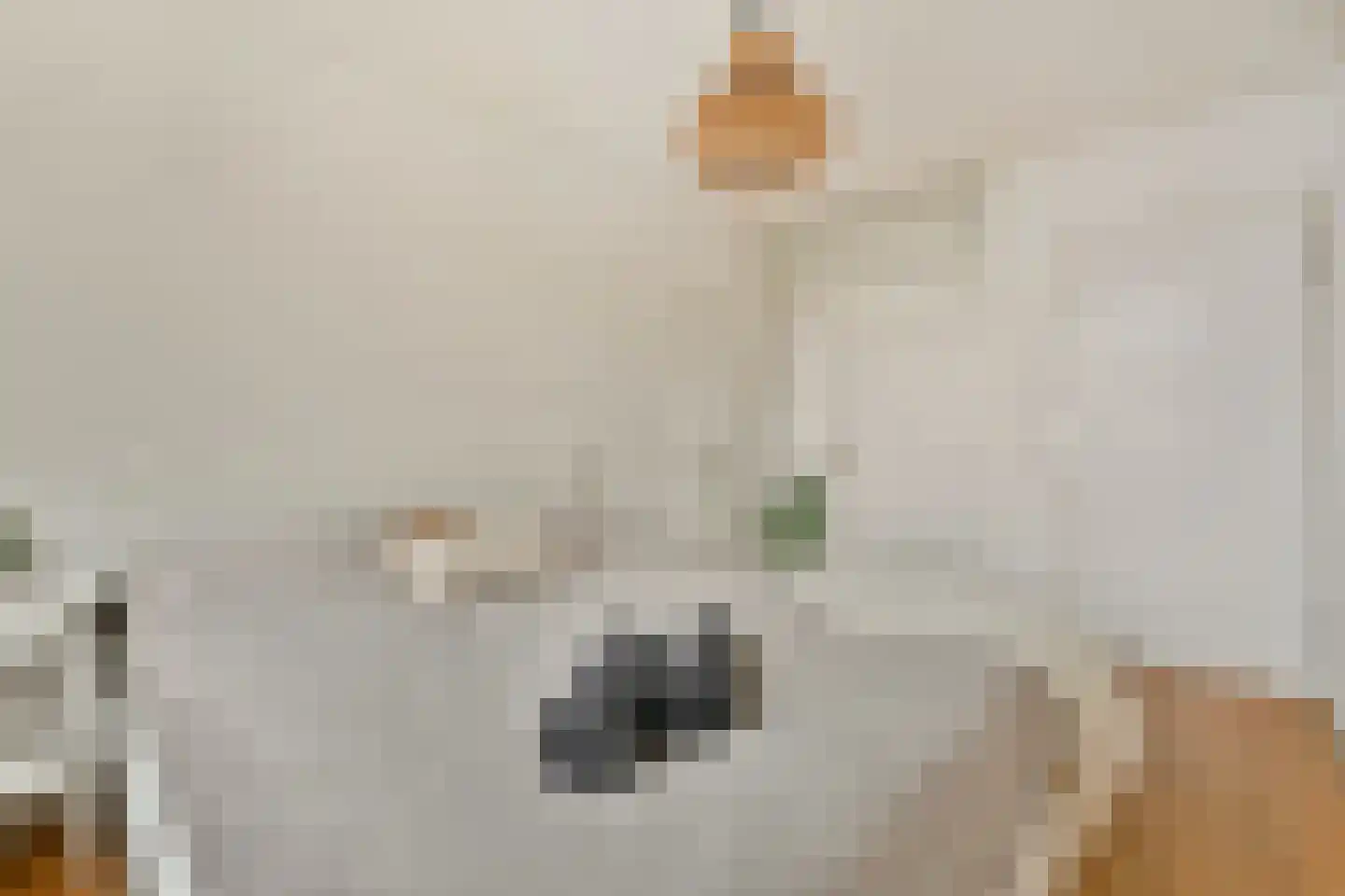 Van Noordtkade 146 Amsterdam thumbnail 13