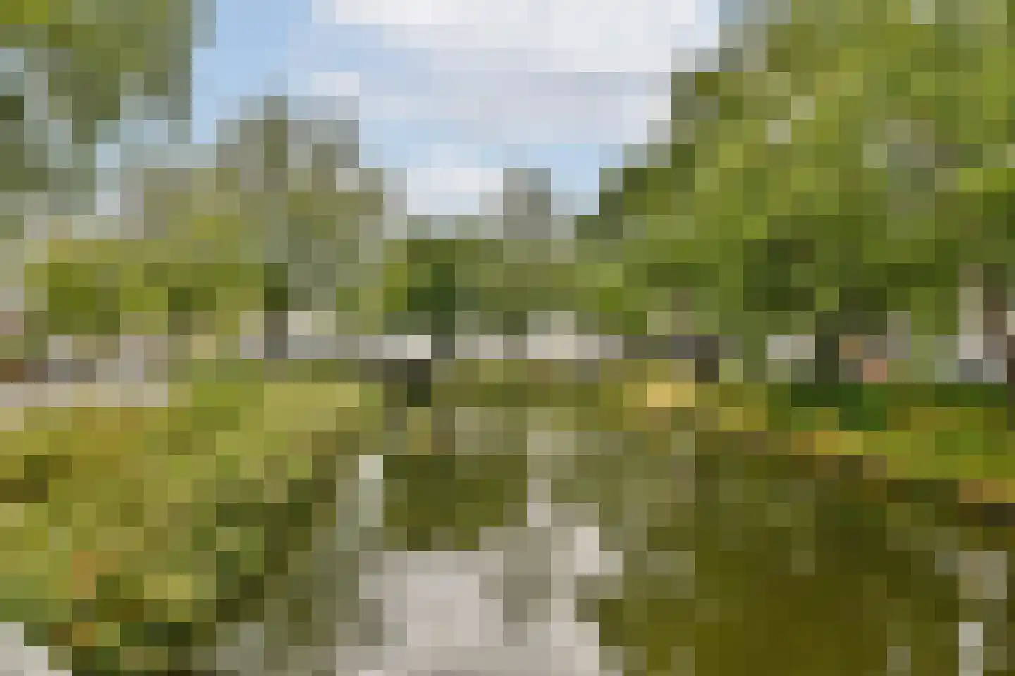 Van Noordtkade 146 Amsterdam thumbnail 19