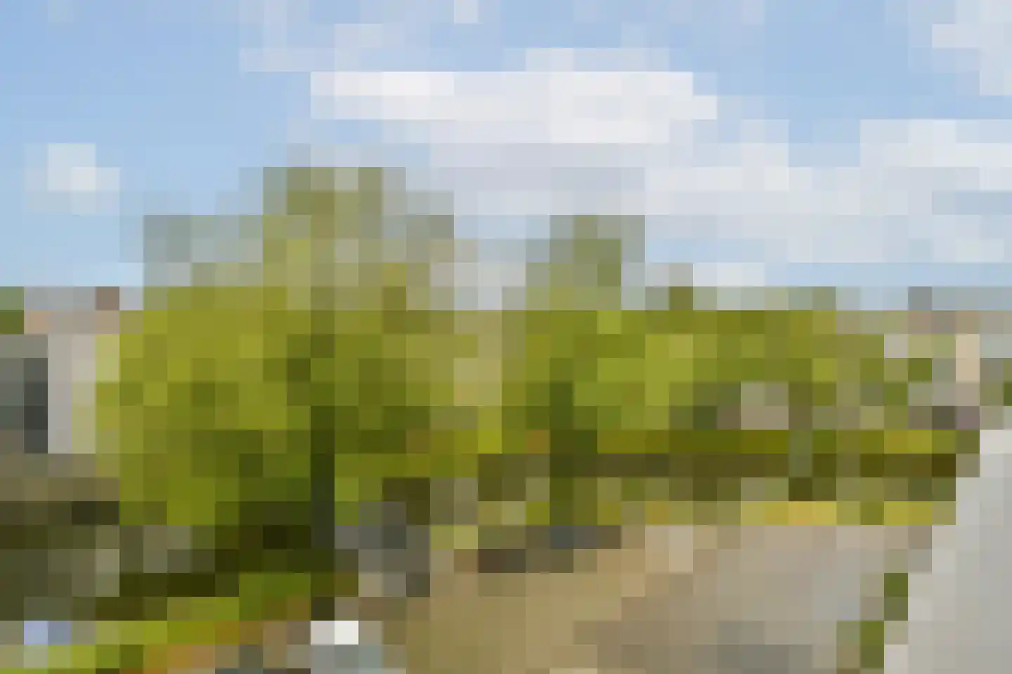 Van Noordtkade 146 Amsterdam thumbnail 7
