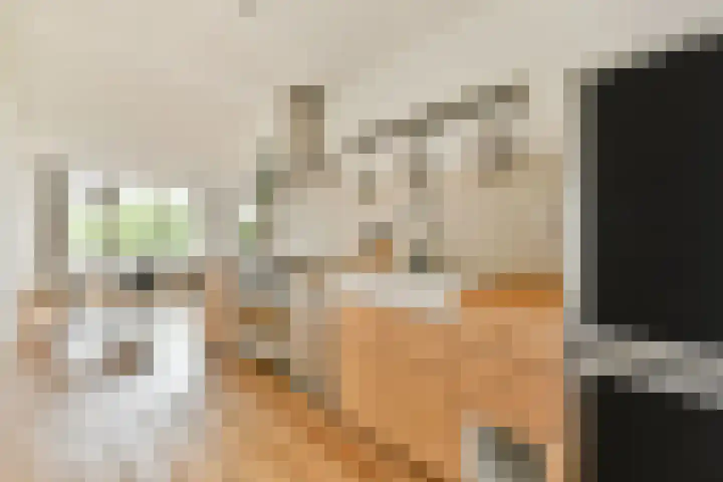 Van Noordtkade 146 Amsterdam thumbnail 9