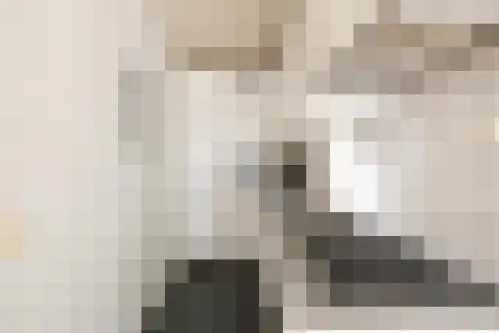 Van Noordtkade 154 Amsterdam thumbnail 10