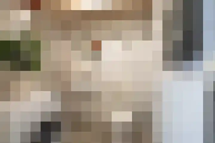 Van Noordtkade 154 Amsterdam thumbnail 13
