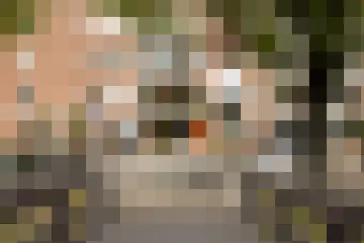 Van Noordtkade 154 Amsterdam thumbnail 14