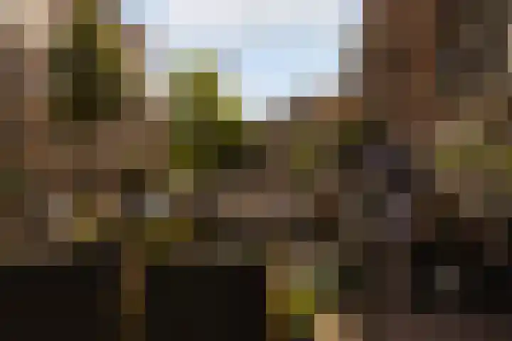 Van Noordtkade 154 Amsterdam thumbnail 20