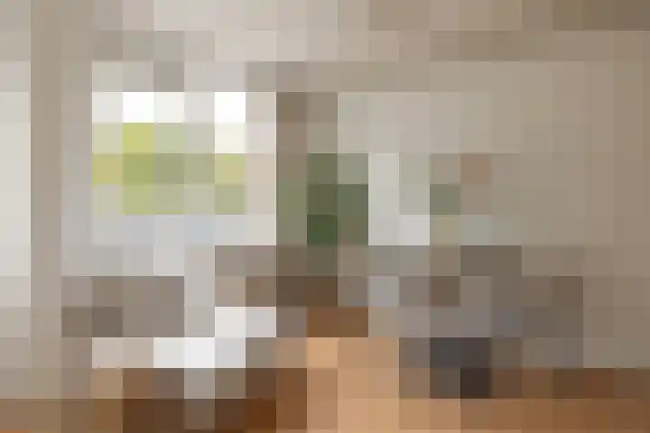 Van Noordtkade 154 Amsterdam thumbnail 7