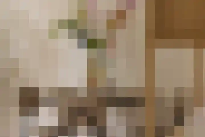 Van Noordtkade 154 Amsterdam thumbnail 8