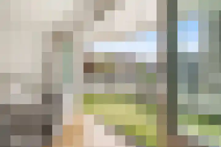 Van Noordtkade 3 K Amsterdam thumbnail 15