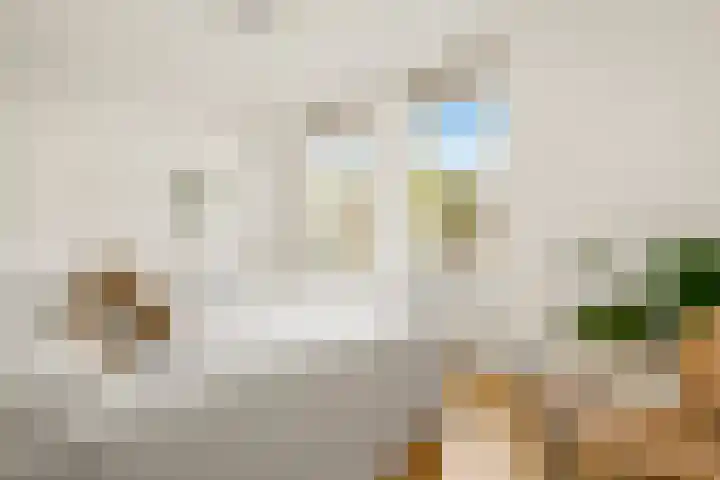 Van Noordtkade 3 K Amsterdam thumbnail 18