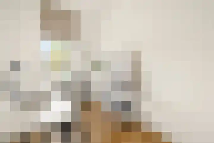 Van Noordtkade 3 K Amsterdam thumbnail 20
