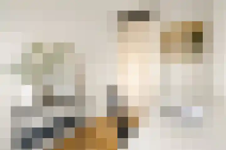 Van Noordtkade 3 K Amsterdam thumbnail 21