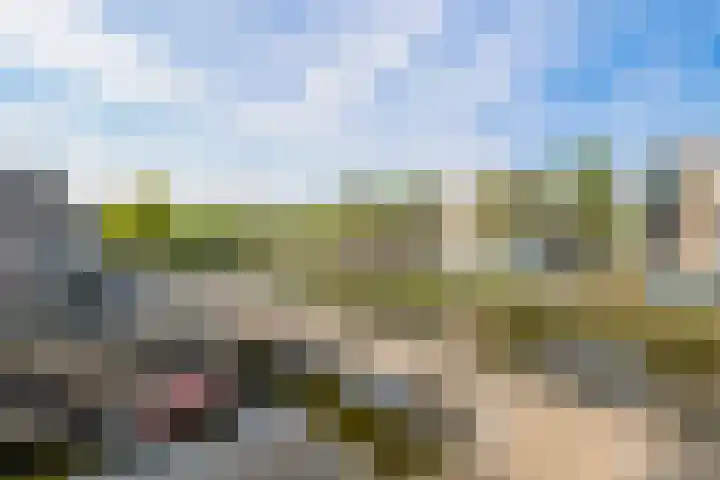 Van Noordtkade 3 K Amsterdam thumbnail 33