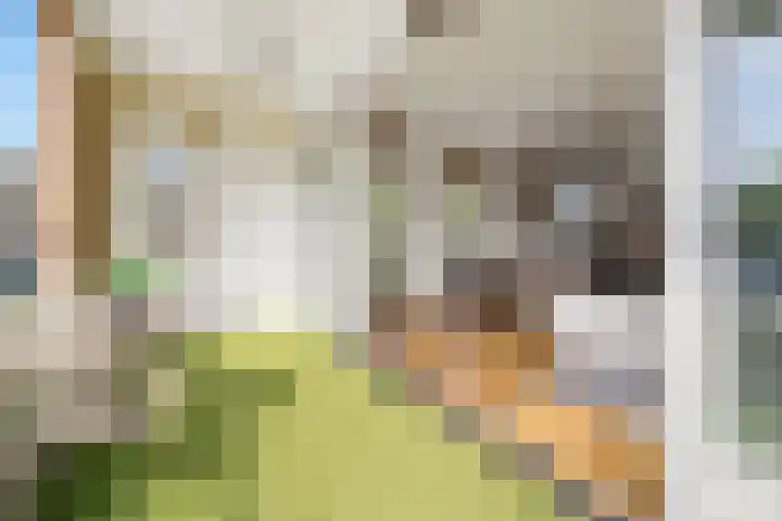 Van Noordtkade 3 K Amsterdam thumbnail 6