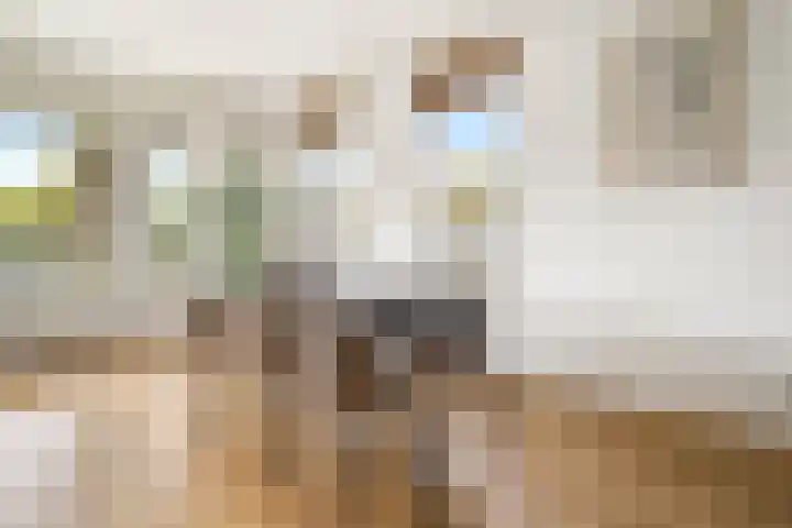 Van Noordtkade 3 K Amsterdam thumbnail 9